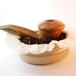 bulldog-02 bulldog-02