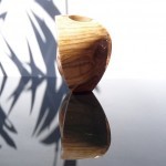 Zen XVII